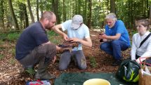 Zehn junge Rotmilane mit solarbetriebenen GPS-Sendern ausgestattet